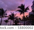 Morning glow 58800002