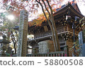 Takaoyama Yakuoin Temple in autumn 58800508