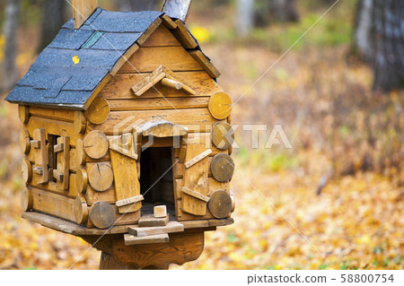 bird house autumn forest background 58800754