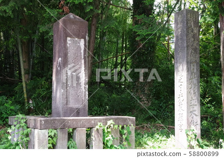 納米木捐贈紀念碑（隕石） 58800899