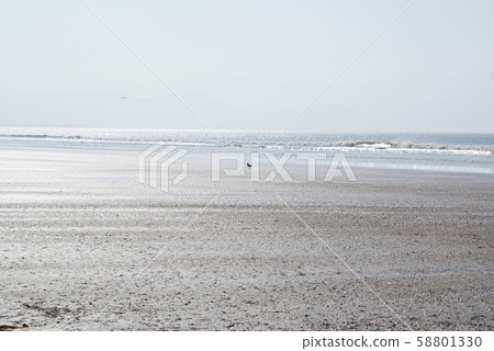 愛爾蘭凱里賽道上的英寸海灘 愛爾蘭凱里賽道上的英寸海灘 58801330