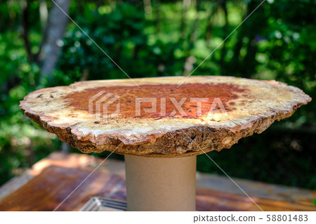 Nature pink burl wood striped, Exotic wooden beautiful pattern for crafts or abstract art background Nature pink burl wood striped, Exotic wooden beautiful pattern for crafts or abstract art background 58801483
