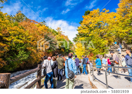 chi木日光龍族瀑布長廊看板 58801939