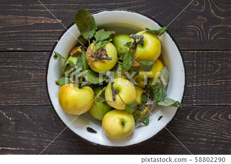 Fresh organic yellow apples and green pears Fresh organic yellow apples and green pears 58802290