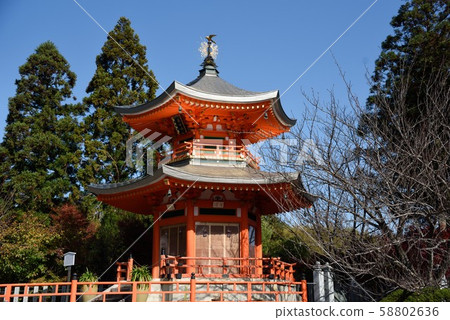 Shoho-ji Temple in autumn in Kyoto Shoho-ji Temple in autumn in Kyoto 58802636
