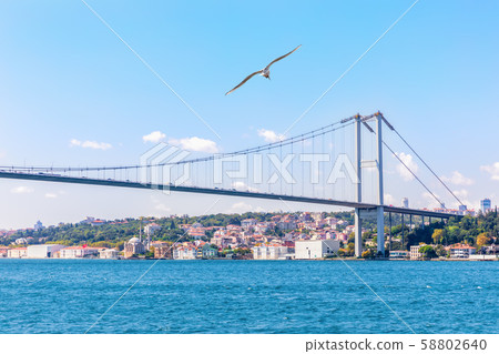 The Bosphorus bridge and the European shore of The Bosphorus bridge and the European shore of 58802640