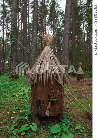 Old bee-hive in the forest 58803262