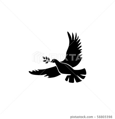 Pigeon with an olive branch. A symbol of peace. Pigeon with an olive branch. A symbol of peace. 58803398