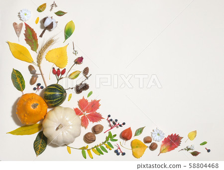 Autumn Colourful Leaves In Frame Autumn Colourful Leaves In Frame 58804468