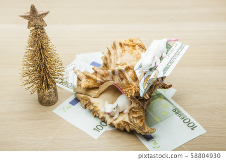 sea shell money miniature fir tree mouse table sea shell money miniature fir tree mouse table 58804930