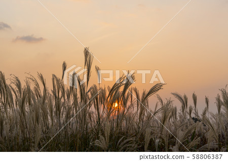 天空公園,麻浦區,首爾 天空公園,麻浦區,首爾 58806387