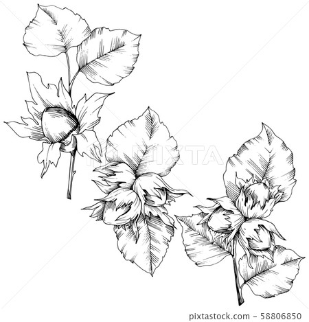 Hazel Tree Tattoo Concept by GinnieGii on DeviantArt