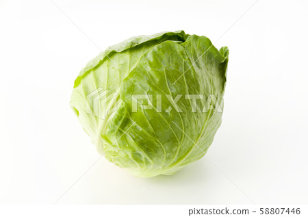 綠球 綠球 58807446