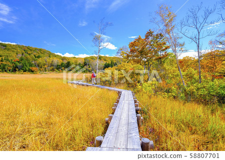 秋季塔瓦拉沼澤和遠足者6 58807701