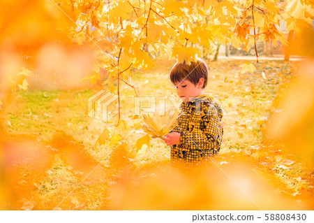 Autumn concept. Baby boy hanging yellow maple leaves. Moment of inspiration. Best autumn picture 58808430