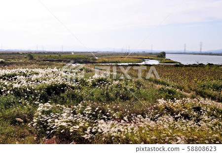 Autumn Sonata Autumn Sonata 58808623