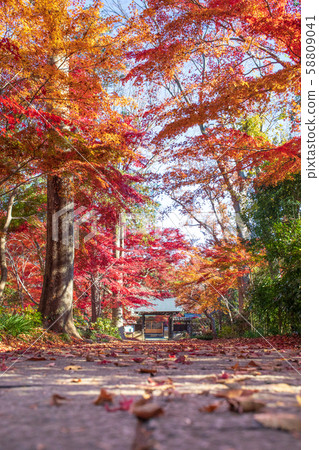 Saitama Prefecture, Kawaguchi City Anko Kozen-in Temple 58809041