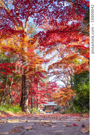 Saitama Prefecture, Kawaguchi City Anko Kozen-in Temple 58809042