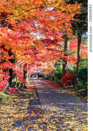 Saitama Prefecture, Kawaguchi City Anko Kozen-in Temple 58809043