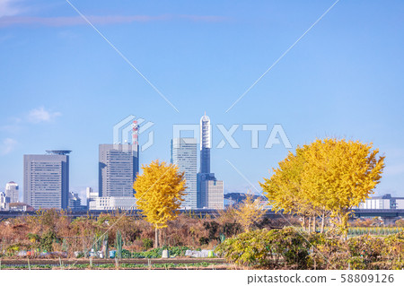 Minuma rice field autumn scenery Minuma rice field autumn scenery 58809126