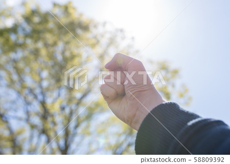 圖片照片 58809392