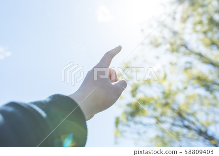 Image photo 58809403