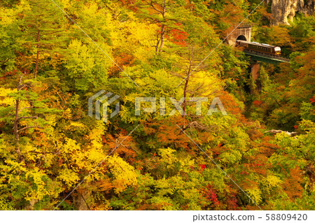 Running in the fall Running in the fall 58809420