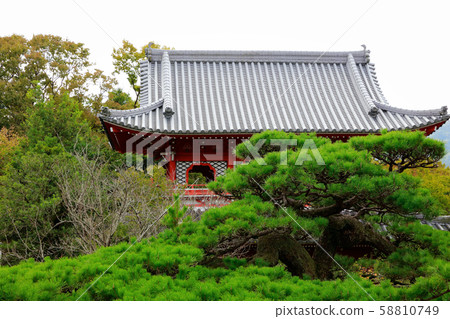 安樂寺 58810749
