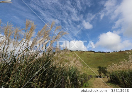 Susuki在Sogen高原 58813928