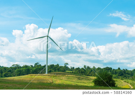 Wind turbines in the meadow 58814160