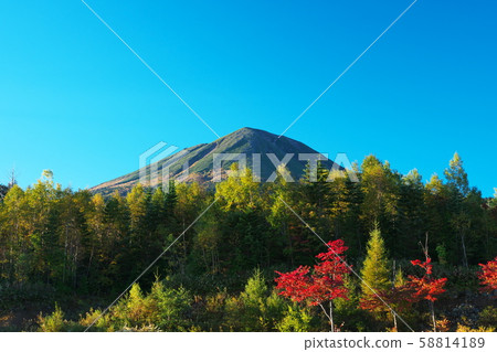山 58814189