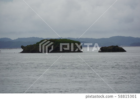 松島 58815301