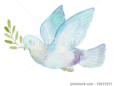 鴿子和橄欖水彩 鴿子和橄欖水彩 58815815