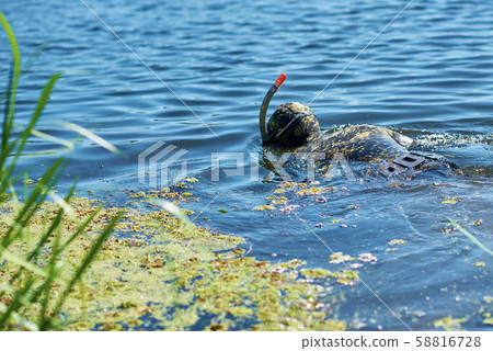 Diver in wet suit with mask and snorkel under Diver in wet suit with mask and snorkel under 58816728