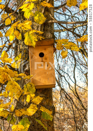 Bird house on the tree during the autumn season Bird house on the tree during the autumn season 58817528