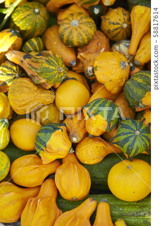 Melon Melon 58817614