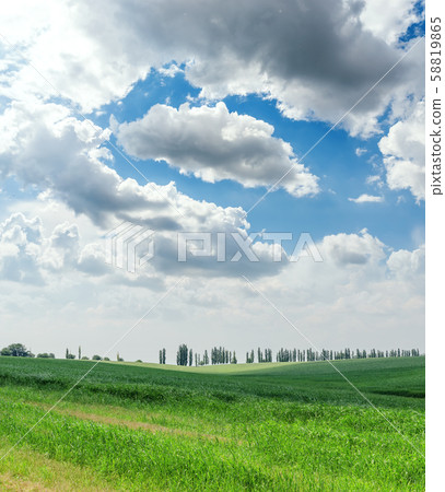 agriculture green grass field and low clouds in agriculture green grass field and low clouds in 58819865