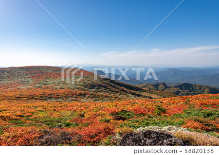 栗色山在秋天的顏色 58820138