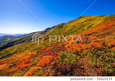秋天的栗駒山離開上帝的地毯廣角少的太陽 58820154