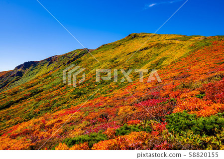 秋葉的栗駒山神的地毯 秋葉的栗駒山神的地毯 58820155