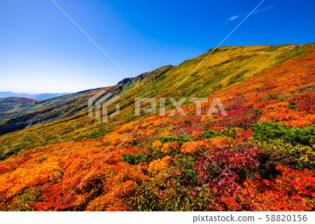 栗色山在秋天的顏色神的地毯廣角 栗色山在秋天的顏色神的地毯廣角 58820156