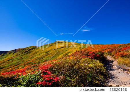 秋天的栗駒山離開上帝的地毯 秋天的栗駒山離開上帝的地毯 58820158