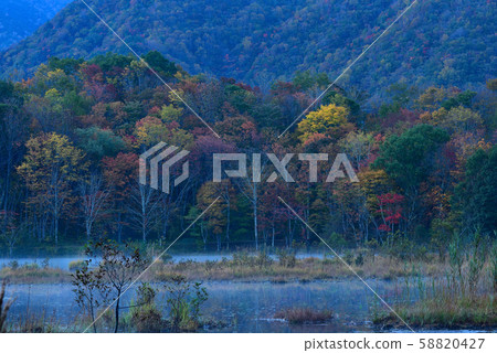 矢野原濕地Kannonuma 58820427