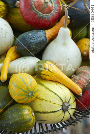 Gourd set 58820441