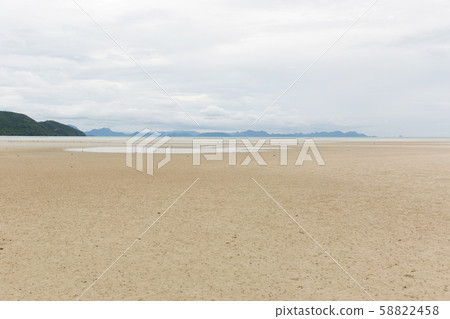 Low tide landscape. Summer sea cost. 58822458