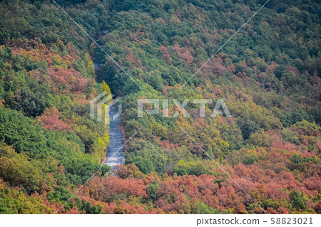 Road across a vivid colorful forest in autumn. Road across a vivid colorful forest in autumn. 58823021