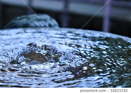 Spring water 58825292