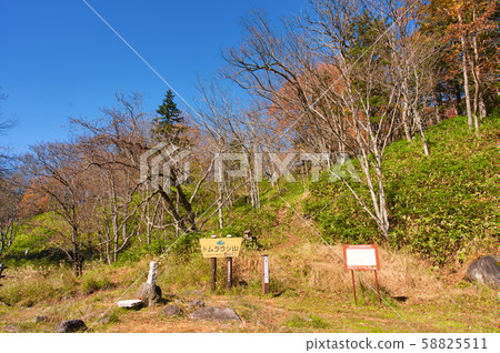 Autumn leaves of Tomuraushi Onsen 58825511