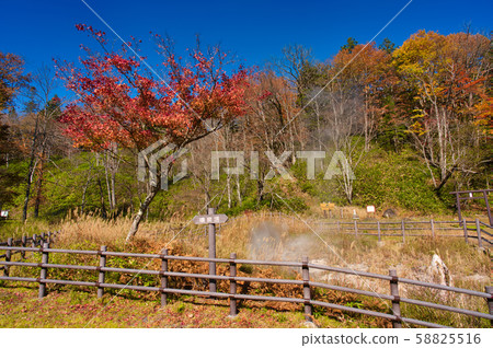 Autumn leaves of Tomuraushi Onsen 58825516