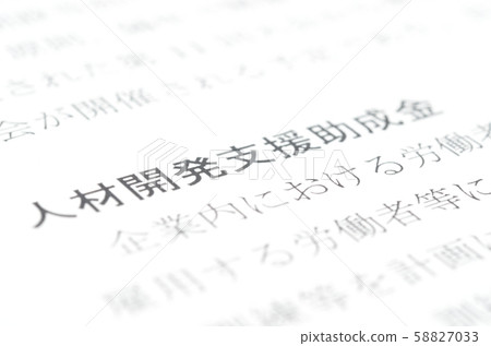 Human Resources Development Support Grant 58827033